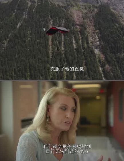 宠物的秘密生活1