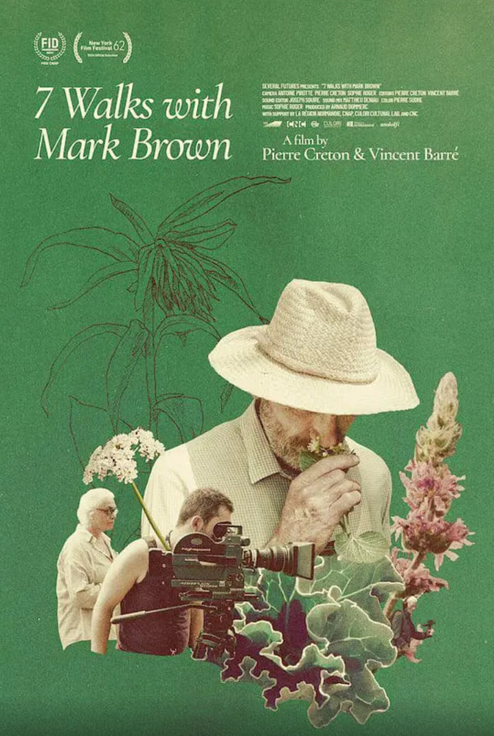 与马克布朗的七次散步