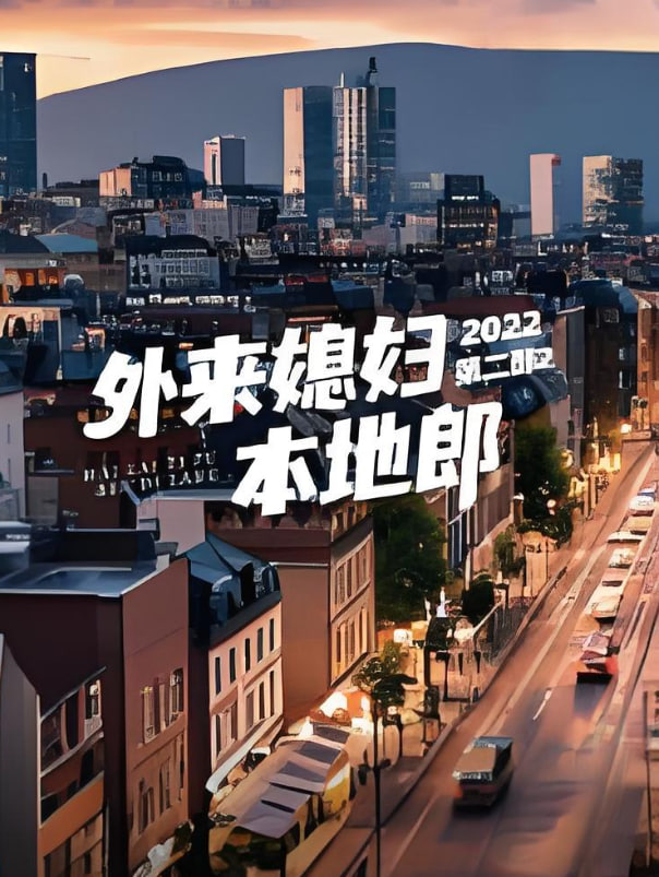 外来媳妇本地郎第二部