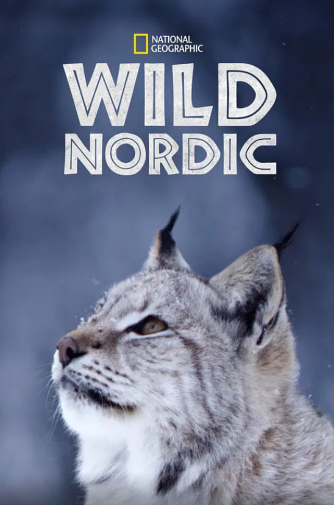 野性北欧1