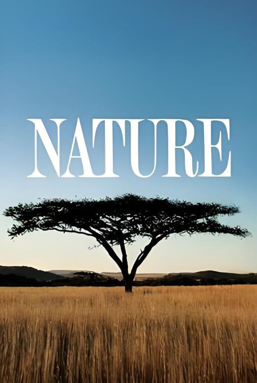 自然第三十九季