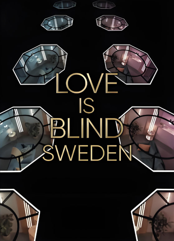 爱情盲选：瑞典篇2