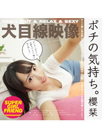 ポチの気持ち。櫻栞