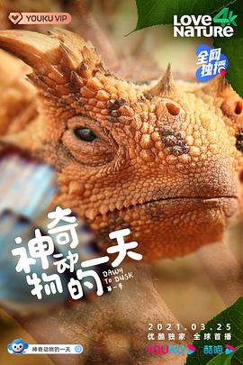 神奇动物的一天1