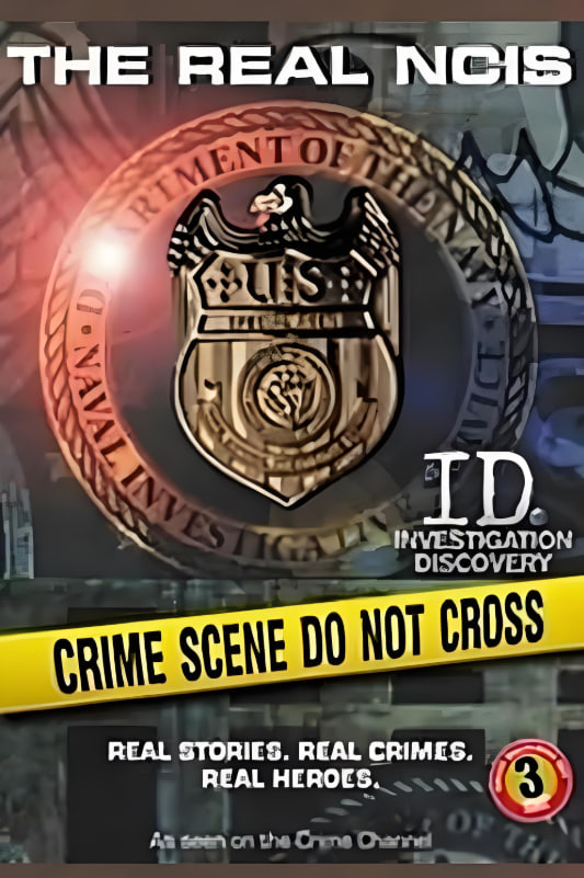 48小时：海军罪案调查处1