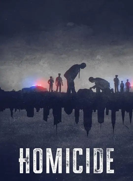 凶杀重案实录：纽约2