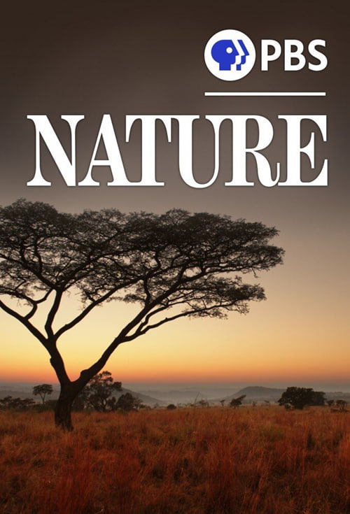 自然第四十二季