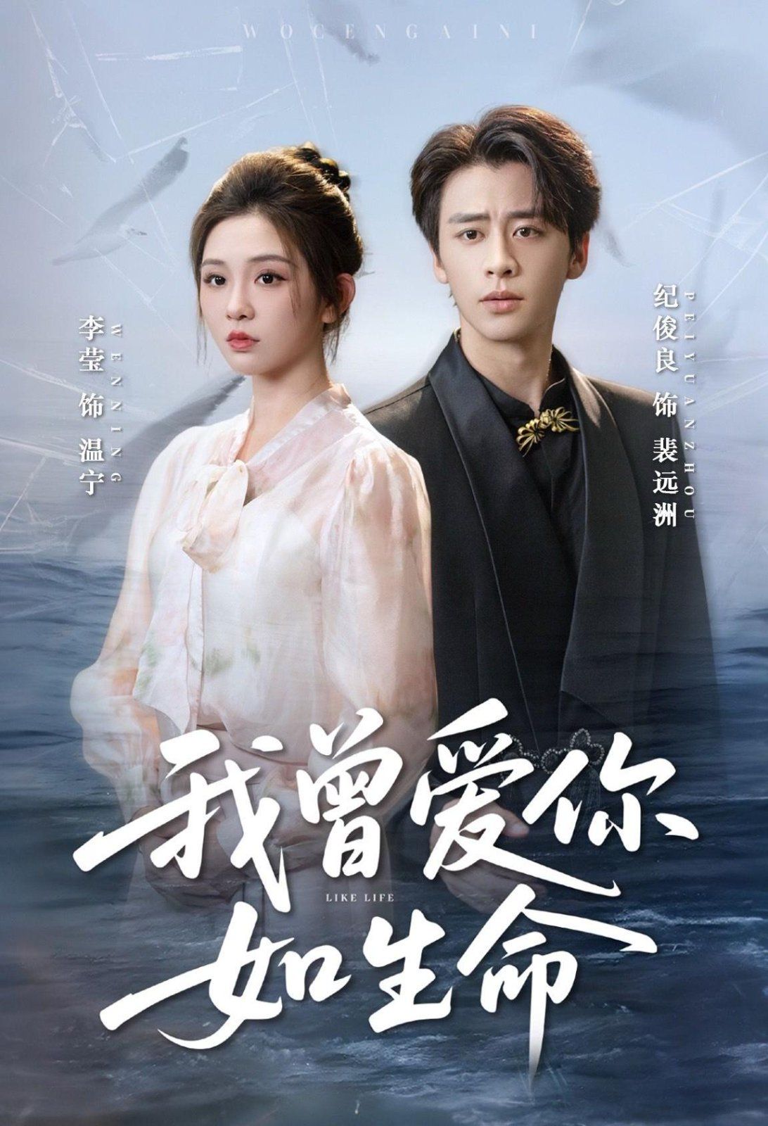 我曾爱你如生命 宁夜向远