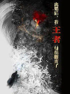 离婚后，我王者身份曝光了 离婚后我王者身份曝光了