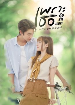 致我们单纯的小美好国语版