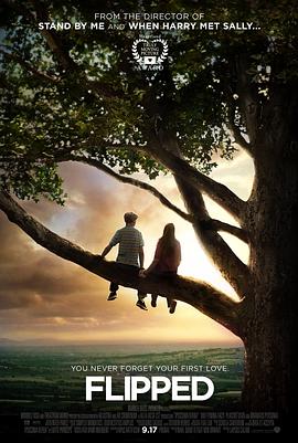 怦然心动 国语版