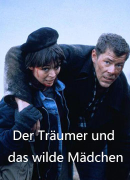 神秘的芯片 国语版