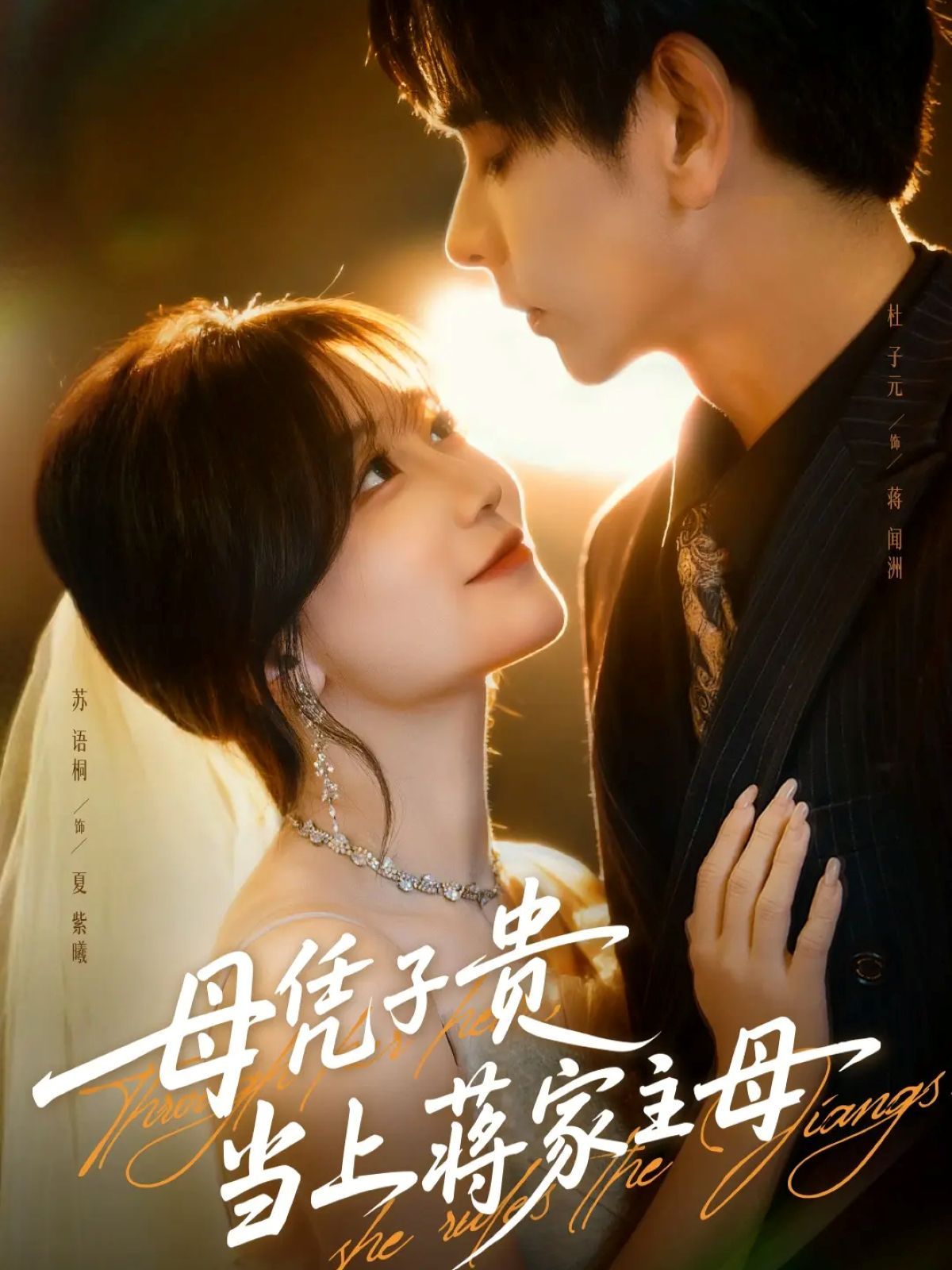 母凭子贵当上蒋家主母 怀孕后蒋少非要当我孩子爹