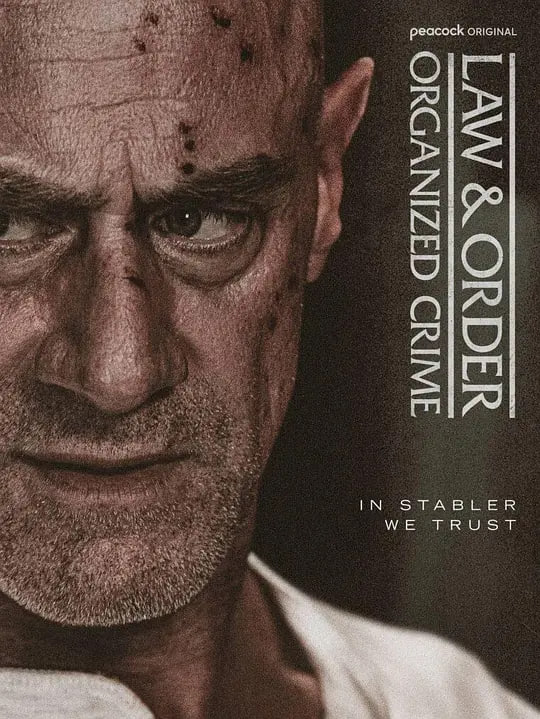 法律与秩序：组织犯罪5