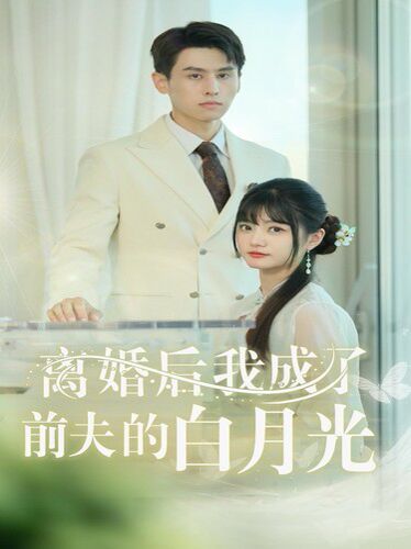 离婚后我成了前夫的白月光 总裁前夫太难缠