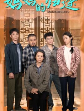 妈妈的归途 归来之金凤成龙