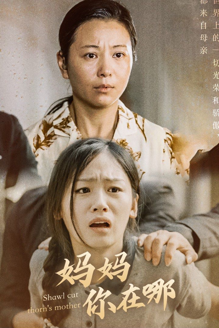 妈妈你在哪 春风不改旧时波