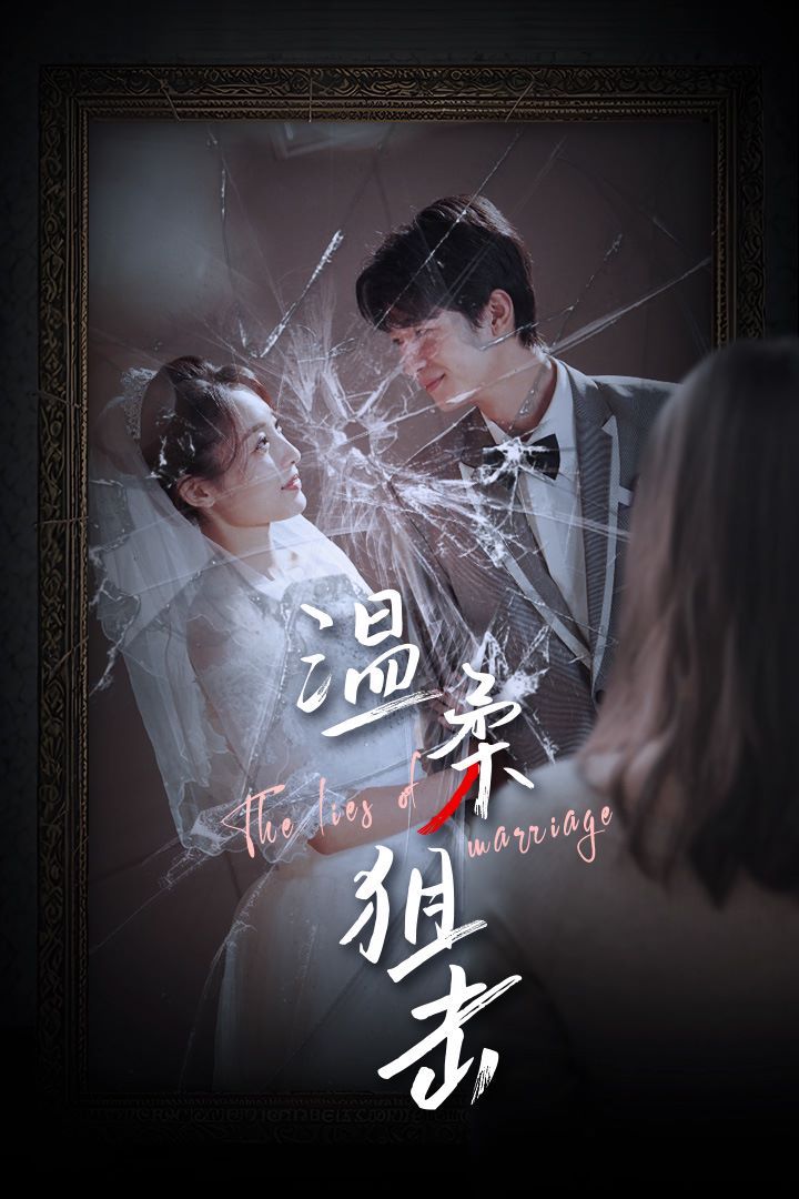 温柔狙击 婚姻迷雾 婚姻的谎言
