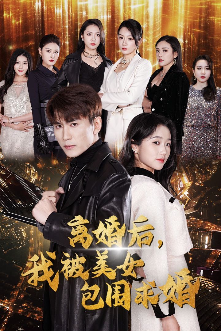 离婚后我被美女包围求婚离婚后走上人生巅峰