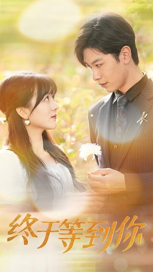 终于等到你 你是我的木槿年华