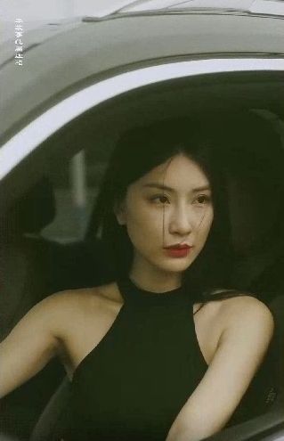 特工凤凰 绝色特工