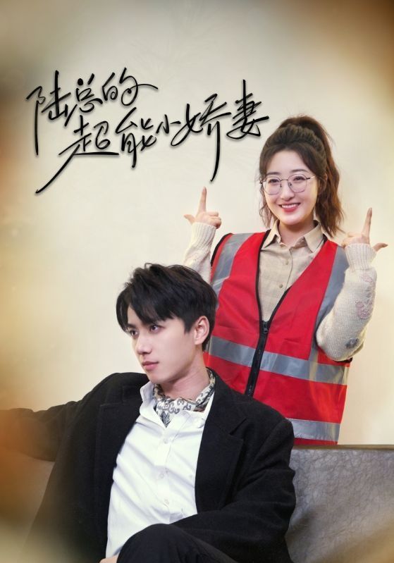 陆总的超能小娇妻 余生只护你 踮起脚尖的爱