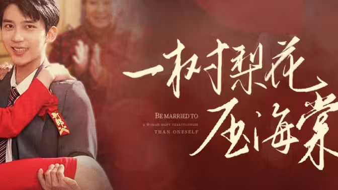 一树梨花压海棠 新：我在八零年代当后妈