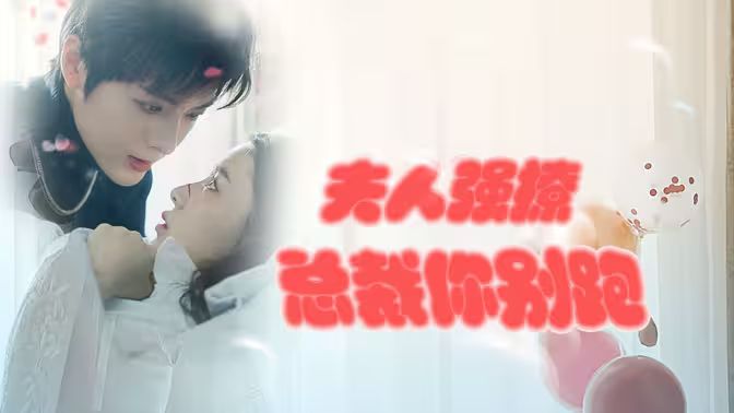 强势锁婚：傲娇总裁别想跑 夫人强撩，总裁你别跑