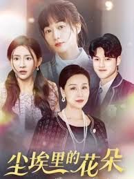 港圈大佬把我宠上天尘埃里的花朵