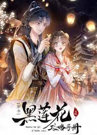 黑莲花攻略手册2