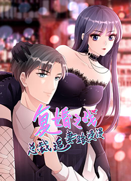 总裁追妻路漫漫2