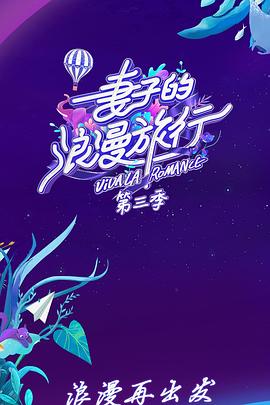 妻子的浪漫旅行3