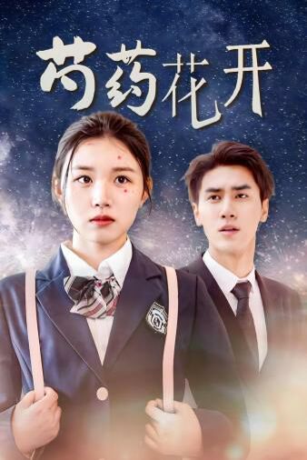 芍药花开 火光中的芍药花