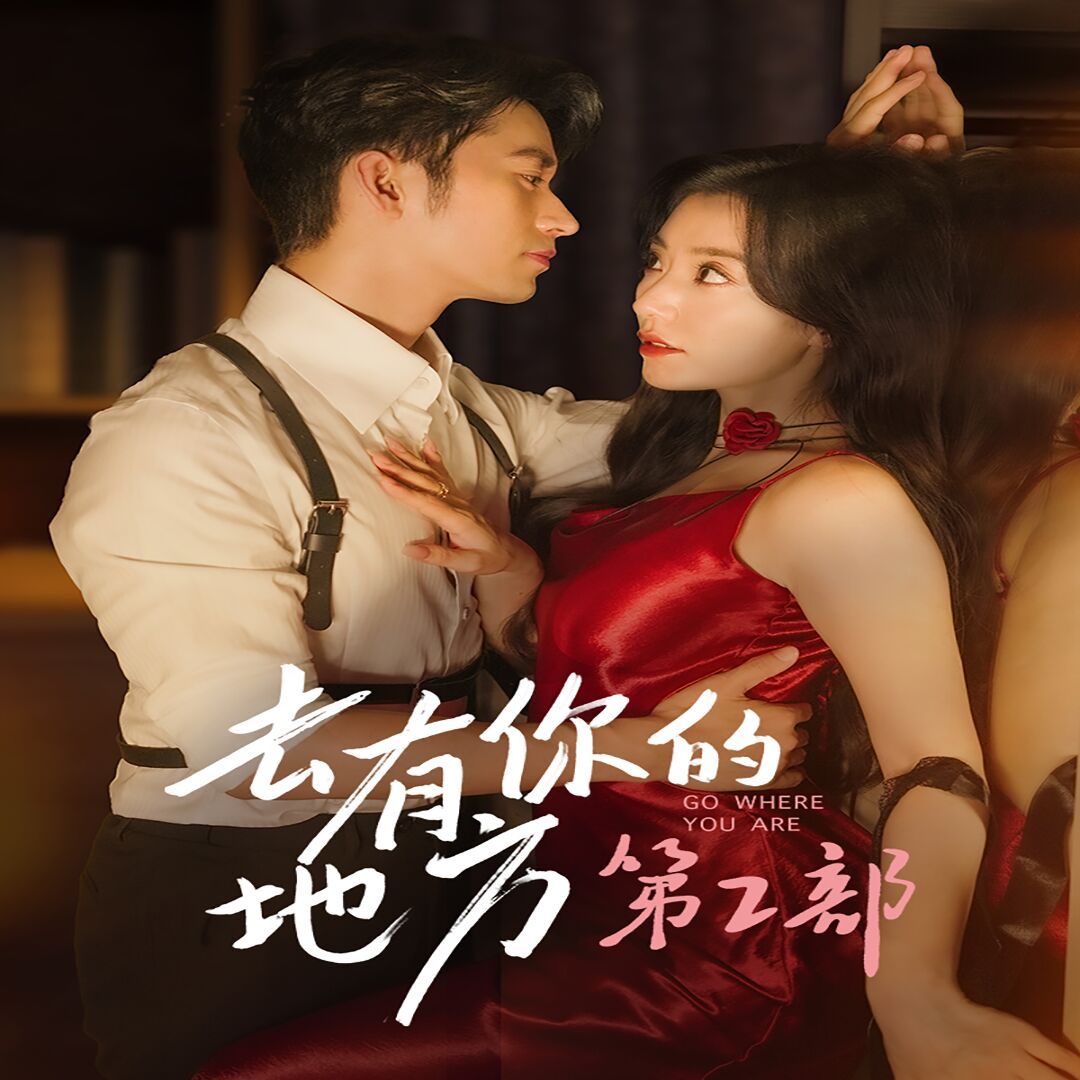 去有你的地方第二部